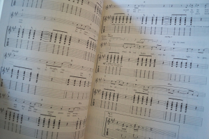 Modern Guitar Anthems: White Book Songbook Notenbuch Vocal Guitar