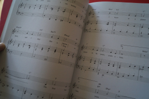 The Standards Collection: Pop Hits Songbook Notenbuch Piano Vocal Guitar PVG