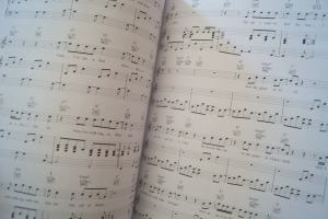 Pop Piano Songbook Notenbuch Piano Vocal Guitar PVG