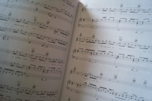 Chart Hits 2015-2016 Songbook Notenbuch Piano Vocal Guitar PVG