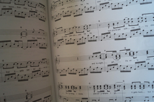 Hage Top Charts Heft 30 (mit CD) Songbook Notenbuch Piano Vocal Guitar PVG