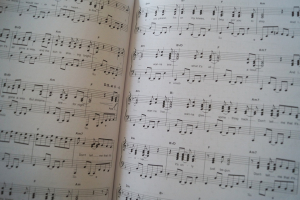 Hage Top Charts Gold Band 5 (mit 2 CDs) Songbook Notenbuch Piano Vocal Guitar PVG