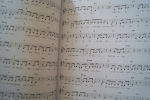 Hage Top Charts Gold Band 5 (mit 2 CDs) Songbook Notenbuch Piano Vocal Guitar PVG