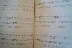 Bass Tab White Pages Songbook Notenbuch Vocal Bass