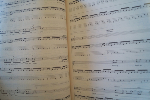 Bass Tab White Pages Songbook Notenbuch Vocal Bass