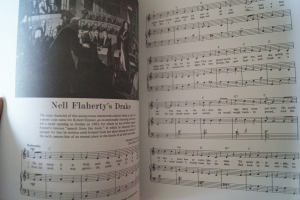 The Irish Songbook Songbook Notenbuch Piano Vocal Guitar PVG