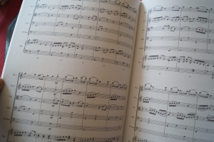 Folk Songs of Scandinavia Songbook Notenbuch Transcribed Scores für Bands