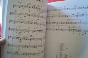 Professional Books: 100 Latin Songbook Notenbuch C-Instruments