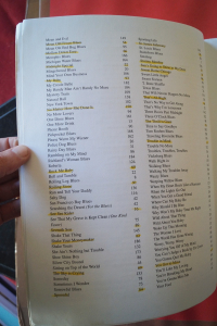 The Blues Fake Book Songbook Notenbuch Vocal Guitar