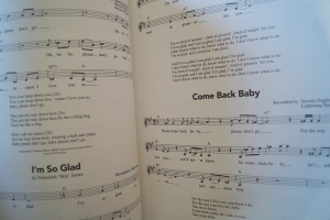 The Blues Fake Book Songbook Notenbuch Vocal Guitar