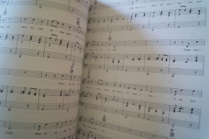 The Big Book of Country Songbook Notenbuch Piano Vocal Guitar PVG