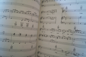 The Big Book of Country Songbook Notenbuch Piano Vocal Guitar PVG