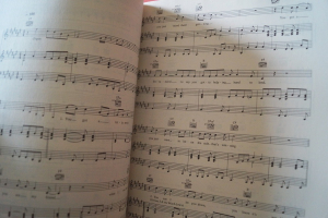 Budget Books: Pop / Rock Songbook Notenbuch Piano Vocal Guitar PVG