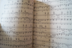 Budget Books: Pop / Rock Songbook Notenbuch Piano Vocal Guitar PVG