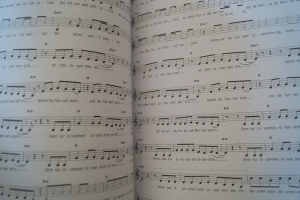 Hage Top Charts Gold Band 13 (mit 2 CDs) Songbook Notenbuch Piano Vocal Guitar PVG