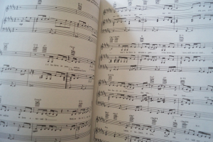 Ten Years of Pop Music 1990-2000 (Red Book) Songbook Notenbuch Piano Vocal Guitar PVG