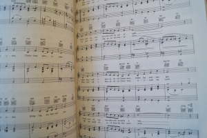 Die schönsten Weihnachtshits Songbook Notenbuch Piano Vocal Guitar PVG