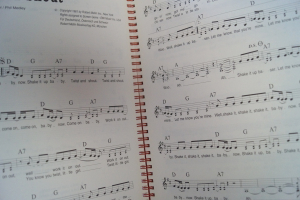 KDM The Best Songs Sonderausgabe 1 (Grossformat) Songbook Notenbuch Keyboard Vocal Guitar