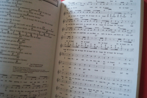 Schlager Express (Kleinformat) Songbook Notenbuch Vocal Guitar