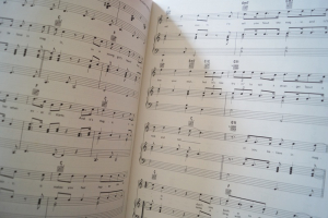 History of Rock: The Mid 60s Songbook Notenbuch Piano Vocal Guitar PVG