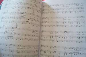 Hits of the Year (2014) Songbook Notenbuch Piano Vocal Guitar PVG