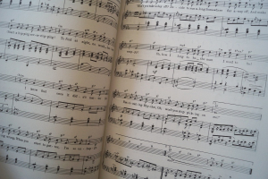 The Decade Series: More Songs of the 20s Songbook Notenbuch Piano Vocal Guitar PVG