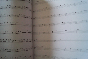 First 50 Songs on the Cello Songbook Notenbuch Cello