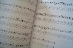 The Definitive Guitar Songbook Songbook Notenbuch Vocal Guitar