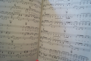 Today´s Woman Songbook Songbook Notenbuch Piano Vocal Guitar PVG