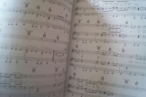 The Best Acoustic Rock Songs Ever Songbook Notenbuch Piano Vocal Guitar PVG