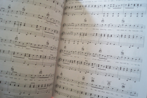 Budget Books: Acoustic Songbook Notenbuch Piano Vocal Guitar PVG
