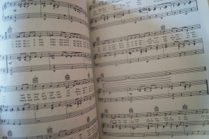 The Greatest Ever Folk Festival Songbook Notenbuch Piano Vocal Guitar PVG