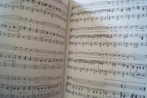 The Decade Series: Songs of the 30Songbook Notenbuch Piano Vocal Guitar PVG