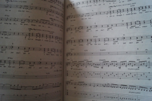 The Unplugged Guitar Big Book Songbook Notenbuch Vocal Guitar