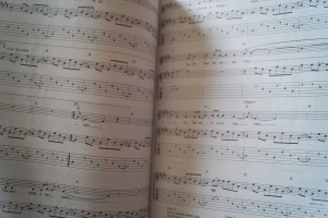 The Unplugged Guitar Big Book Songbook Notenbuch Vocal Guitar