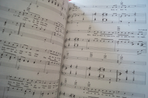 History of Rock: The Early 70s Songbook Notenbuch Piano Vocal Guitar PVG