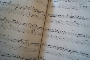 Guitar Tab White Pages Play Along (mit 6 CDs) Songbook Notenbuch Vocal Guitar