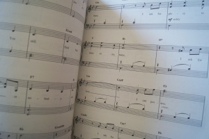Imagine (30 Songs for a better World) Songbook Notenbuch Easy Piano Vocal