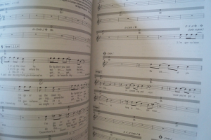 Das Songbook Singer Songwriter Band 1 & 2 Songbooks Notenbücher Vocal Guitar