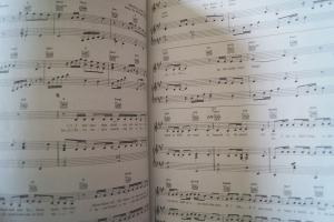 The Soul Connection Songbook Notenbuch Piano Vocal Guitar PVG