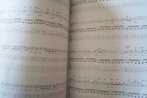 Play Bass with Linkin Park u.a. (mit CD) Songbook Notenbuch Vocal Bass