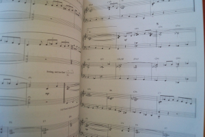 Gipsy Jazz (Jazz Piano Solos) Songbook Notenbuch Piano