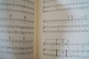 Cinderella Songbook Notenbuch Piano Vocal Guitar PVG