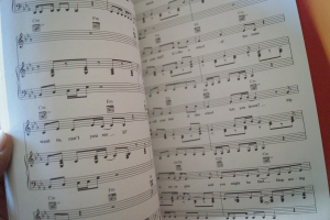 Ace of Base - The Sign Songbook Notenbuch Piano Vocal Guitar PVG