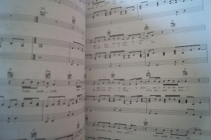 Avril Lavigne - Under my Skin Songbook Notenbuch Piano Vocal Guitar PVG