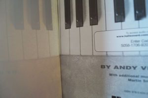 Rock n Roll Piano (mit Audiocode, Keyboard Style Series) Keyboardbuch