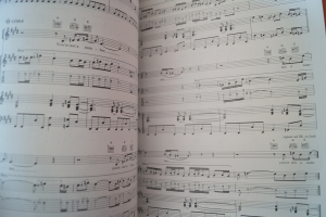 Chris Rea - Auberge Songbook Notenbuch Piano Vocal Guitar PVG