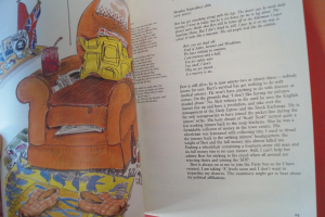 Secret Diary of Adrian Mole Songbook Notenbuch Piano Vocal Guitar PVG