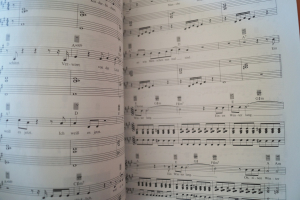 Echt - Freischwimmer Songbook Notenbuch Piano Vocal Guitar PVG