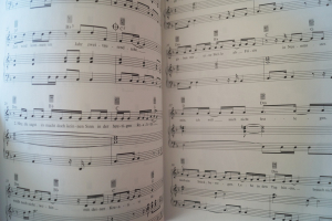 Echt - Freischwimmer Songbook Notenbuch Piano Vocal Guitar PVG